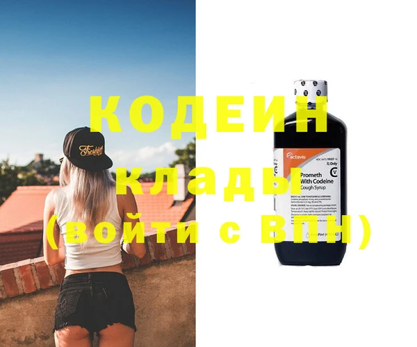 индика Абинск