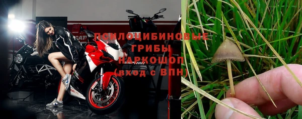 индика Абинск