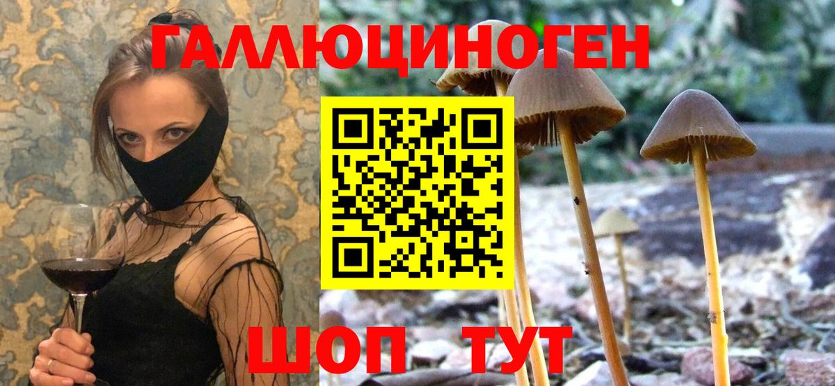 Галлюциногенные грибы Magic Shrooms  Вход с VPN  Галлюциногенные грибы GOLDEN TEACHER  Людиново 